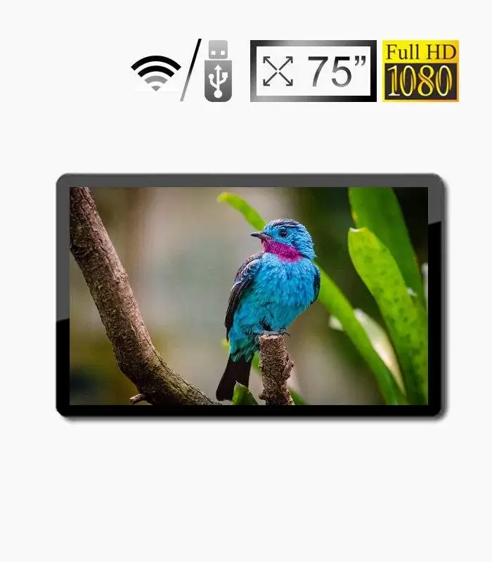 Màn hình quảng cáo LCD SAMSUNG / LG treo tường 75 inch